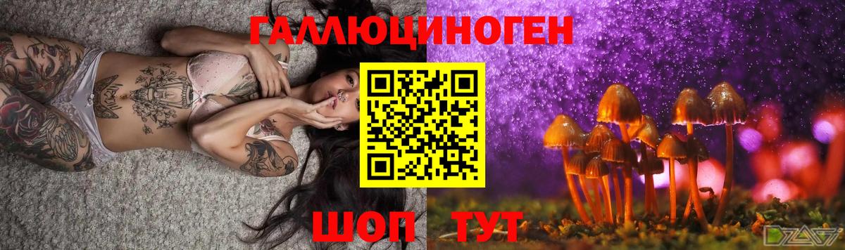 Галлюциногенные грибы Psilocybe  Псилоцибиновые грибы GOLDEN TEACHER  Вход с VPN  Дербент 